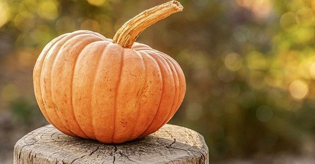 Can Diabetics Eat Pumpkin