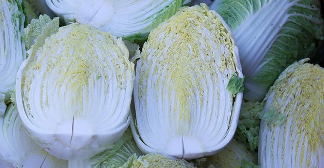 Is Chinese cabbage good for Diabetes