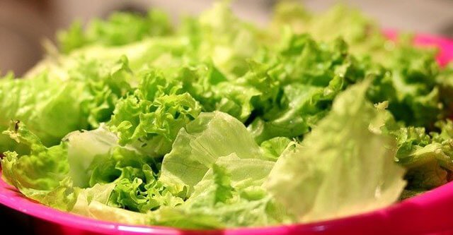 Is lettuce good for diabetes