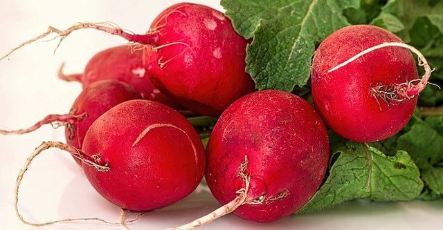 What is the Glycemic Index of radish