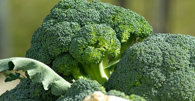 What is the Nutritional Composition of Broccoli