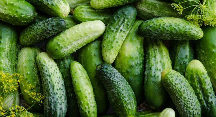 Cucumbers 25 best low carb foods list for diabetics that steady blood sugar