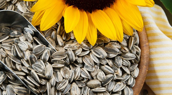 Sunflower seeds low glycemic index foods