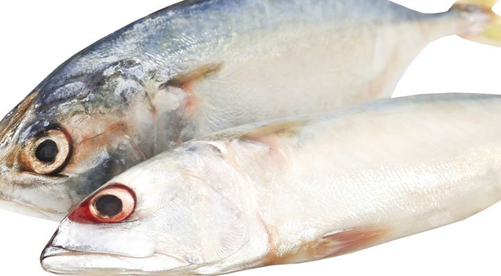 Tuna fish Low Glycemic Index Foods List