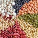 Which Beans Are Good For Diabetics 10 Benefits