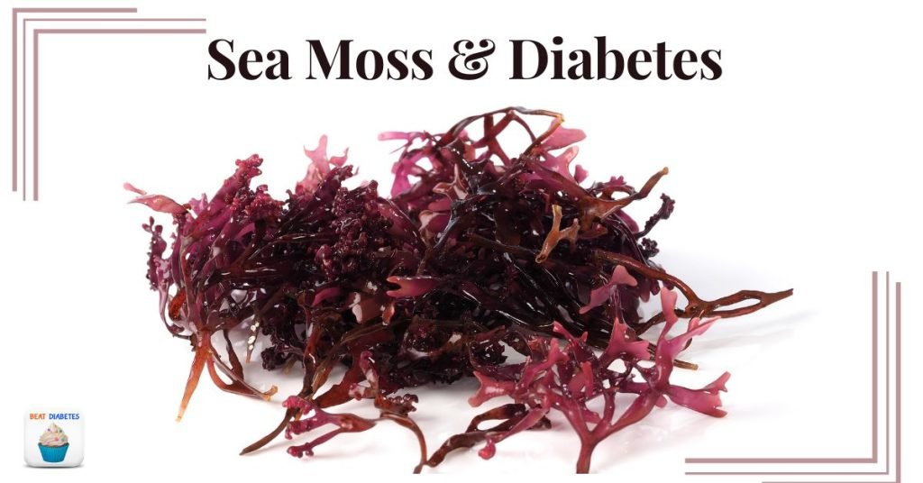 Sea moss Diabetes