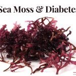 Sea moss Diabetes